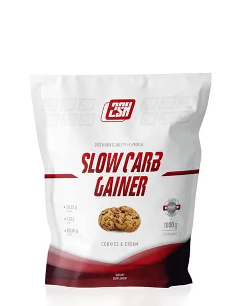 Гейнер сложные углеводы медленные углеводы 2SN Slow Carb Gainer 1000g Печенье