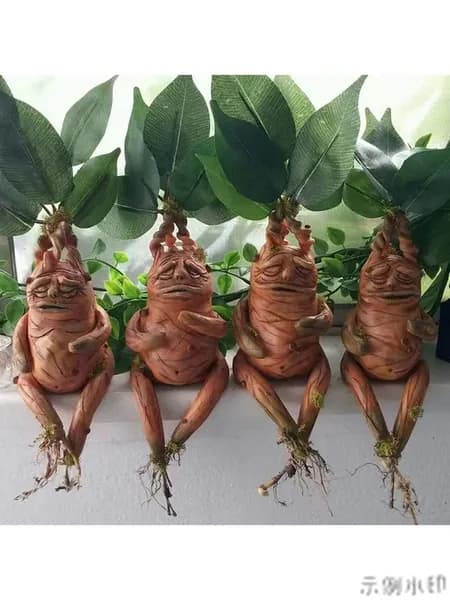 Матрешка
