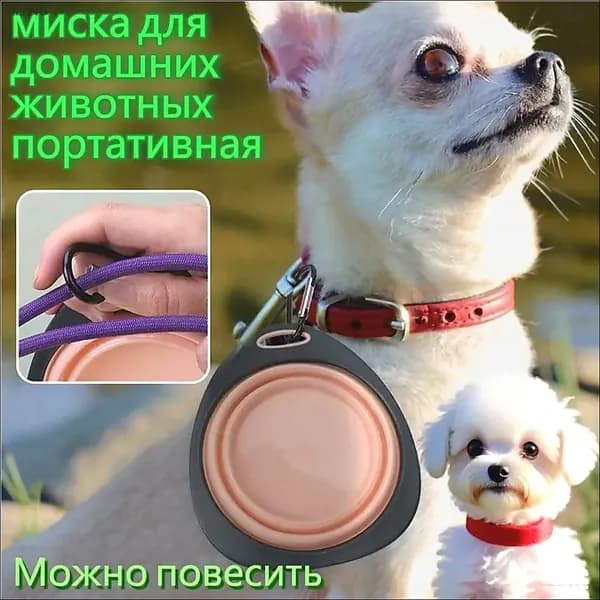Миска для животных складная для кошек и собак, дорожная, с карабином, силиконовая