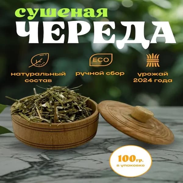 череда сушеная