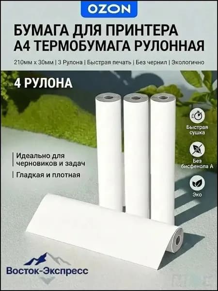 Бумага для принтера A4, 100 лист., шт
