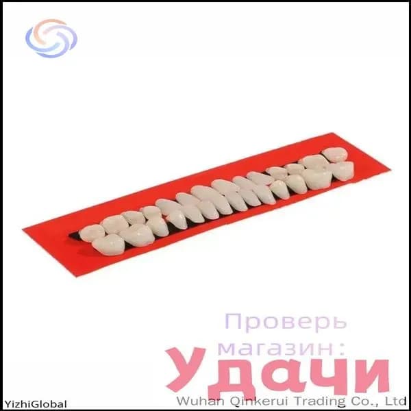 Качественный набор, 28 зубных моделей
