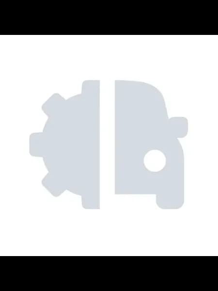 Поршень тормозного суппорта ORG 456102F000