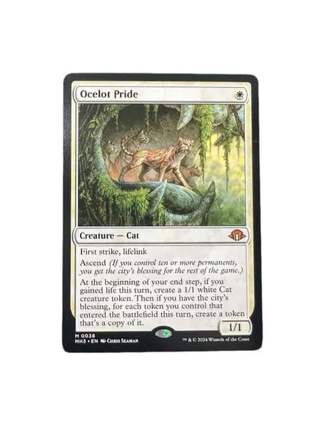 1 карта Magic The Gathering одна штука подарок прозрачные протекторы для карт mtg