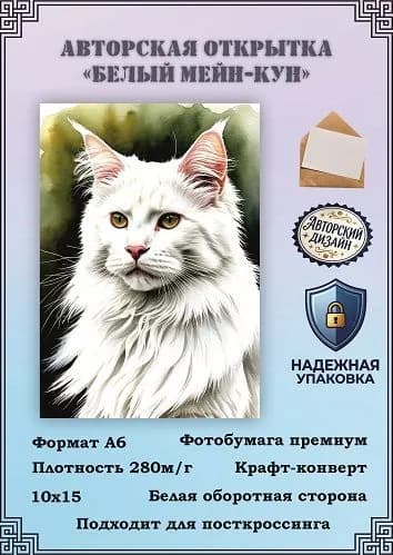 Авторская открытка "Белый мейн-кун"