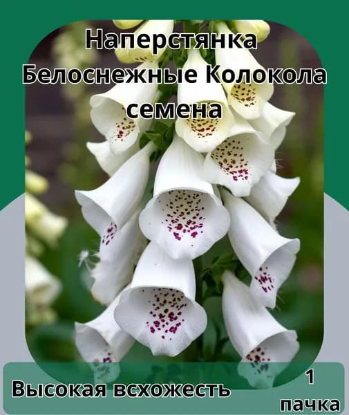 Наперстянка белоснежные колокола, семена 10шт
