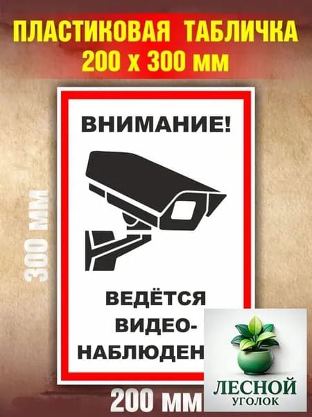 Табличка "ВЕДЁТСЯ ВИДЕОНАБЛЮДЕНИЕ" из пластика Размер 200х300 мм