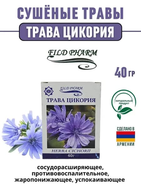 Трава сушеная трава цикория 40гр