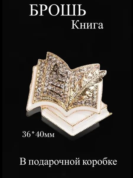 Брошь книга