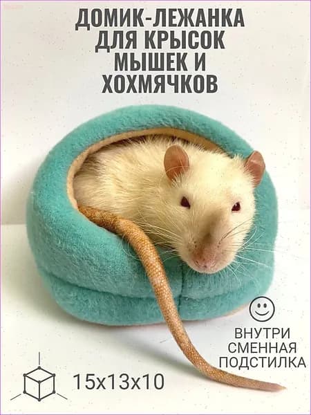 Домик со съемной лежанкой для крысы 15х13х10 голубой