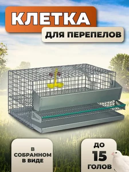 Клетка для перепелок на 15 голов с кормушкой и поилкой