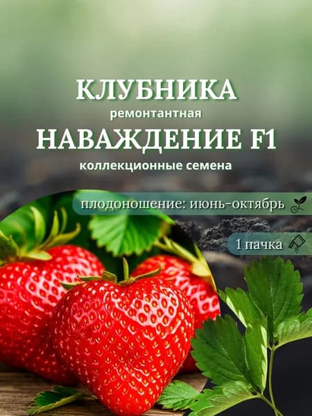 Клубника (ремонтантная) Наваждение F1, семена 10 шт.