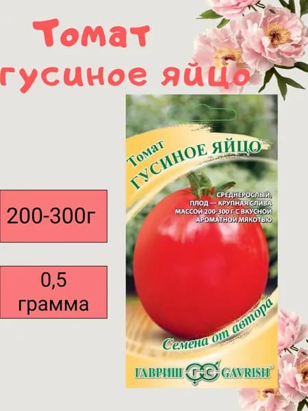 Томат гусиное яйцо