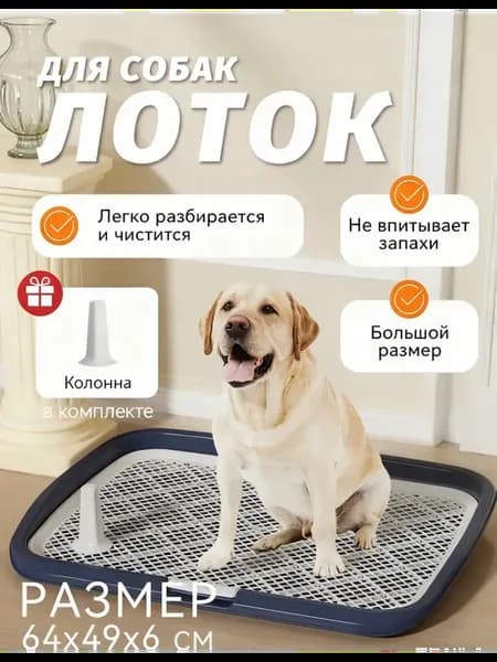 Лоток для собак под пеленку большой