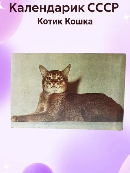 Календарик СССР Котик Кошка