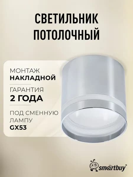 Светильник потолочный / Спот TS TS2006 82x80 мм накладной под лампу GX53 (SBL-TS2006-GX53-c), хром