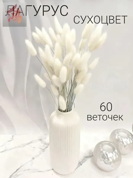 Сухоцветы Лагурус, 55 см, 100 гр, 60 шт