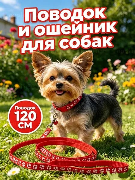 Поводок и ошейник для собак мелких пород щенков и кошек