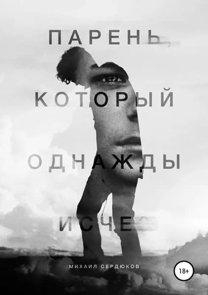 Парень, который однажды исчез | Сердюков Михаил Михайлович | Электронная книга