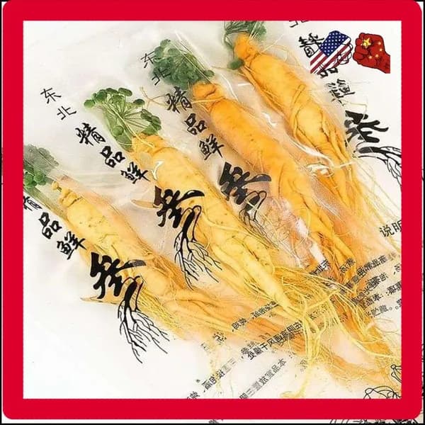 65 г Женьшень свежий Fresh Ginseng Root