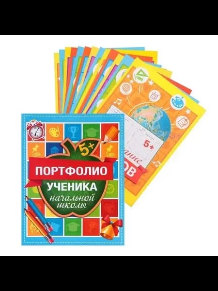 Стильная школьная папка для портфолио