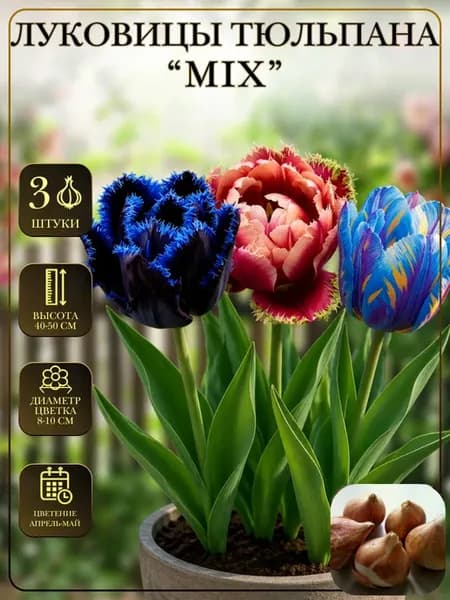 Тюльпаны луковицы для посадки Mix