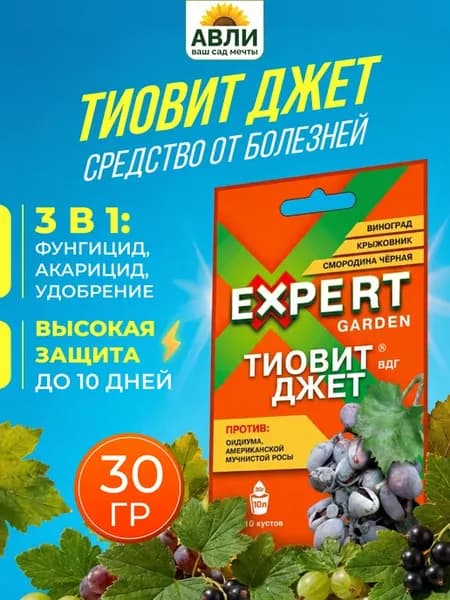 Средство от мучнистой росы Тиовит Джет от болезней 1шт
