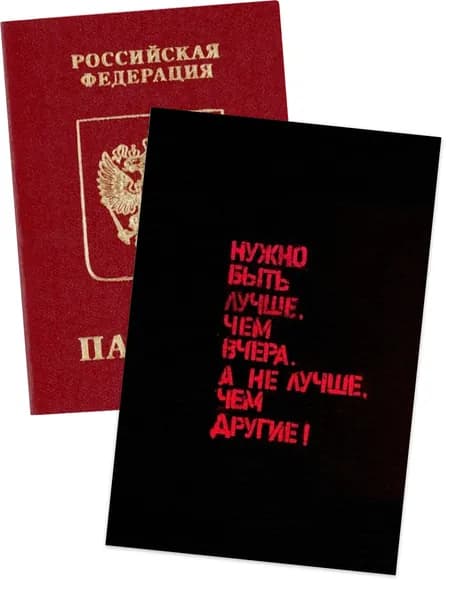 Чехол для паспорта цитатами