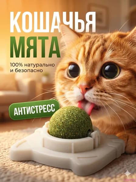 Кошачья мята шарик, лакомство, игрушка для кошек