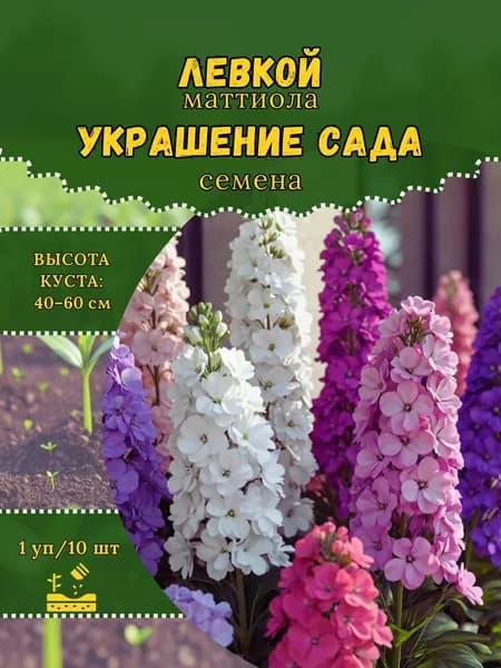 Левкой (Маттиола) "Украшение Сада, смесь" семена, 1 пачка