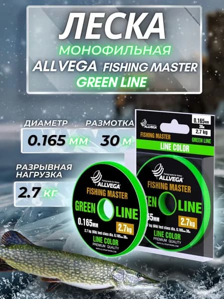 Леска для зимней рыбалки Fishing Master 0.165мм 30м 2.7кг зеленая