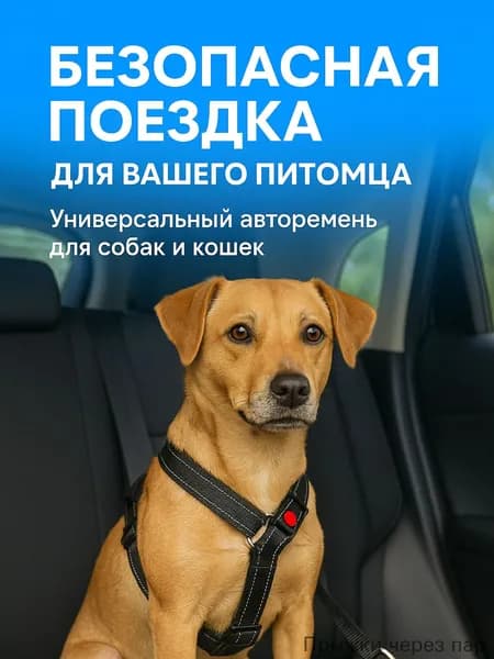 Ремень безопасности для собак / Автомобильный ремень безопасности для животных, Черный