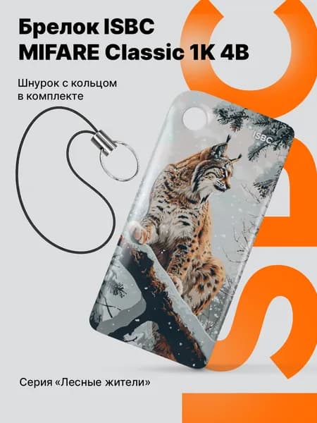 Электронный ключ Брелок ISBC с чипом MIFARE Classic 1K 4B для домофона и СКУД, Рысь