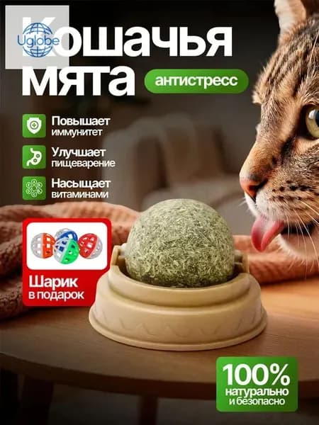 Кошачья мята шарик