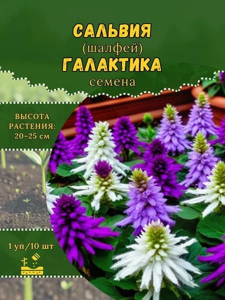 Сальвия (шалфей) "Галактика, смесь" семена, 1 пачка