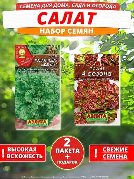 Семена салат для дома сада посадки