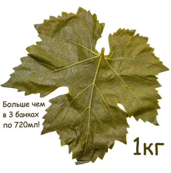 Виноградные листья для долмы 1 кг ECOFOOD (Армения)