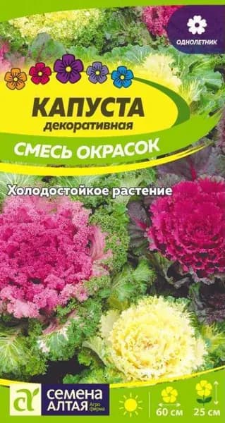 Семена Капуста Декоративная Смесь окрасок/Семена Алтая/цп 0,1 гр.