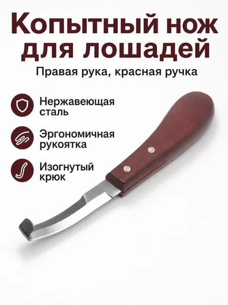 Инструмент для ухода за копытами лошади, нержавеющая сталь с деревянной ручкой, длина лезвия 9 см