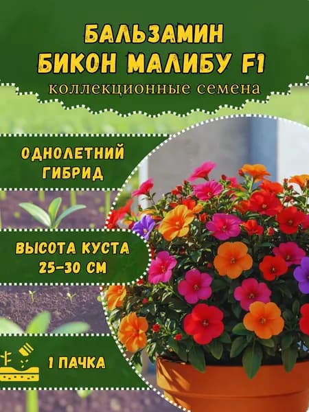 Семена Бальзамина "Бикон Малибу", 10 семян