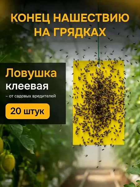 Липкая ловушка для насекомых, липучки от мошек в теплицах и горшках, клеевая пластина,10cm*20cm,20 шт.