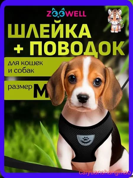 Шлейка и поводок для кошек, маленьких пород собак и хорьков ZOOWELL, набор для прогулок, черный размер M
