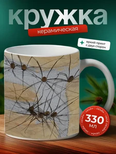 Кружка Диктина паук паукообразное 17