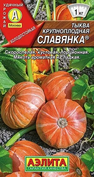 Семена Тыква крупноплодная Славянка (1г) - Аэлита