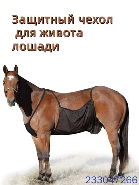 Попона для лошади