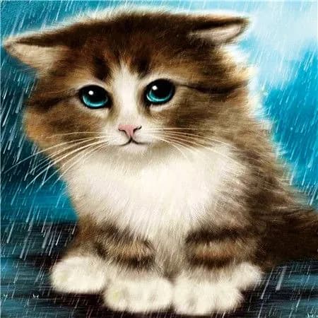 Алмазная мозаика картина стразами Котёнок под дождём/Размер холста 30х30 см/Размер картинки 25х25 см