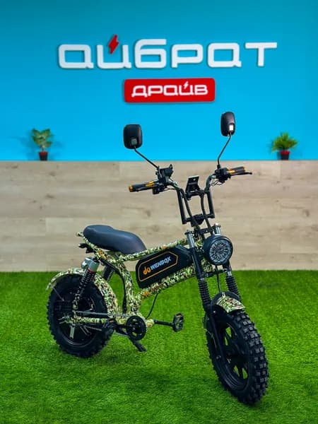 Электровелосипед WenBox F9 (48V/15Ah/500W) Green, для взрослых и детей