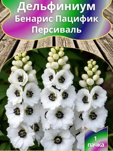 Дельфиниум Бенарис Пацифик Персиваль ,семена 10 шт