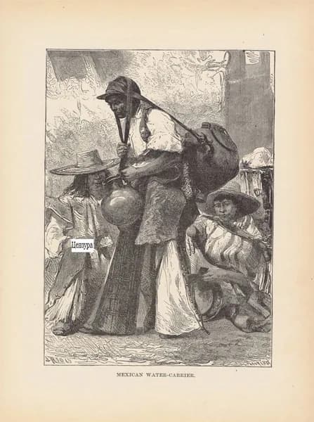 Мексика. Мексиканский водонос. Антикварная гравюра (ксилография). США, 1892 г.