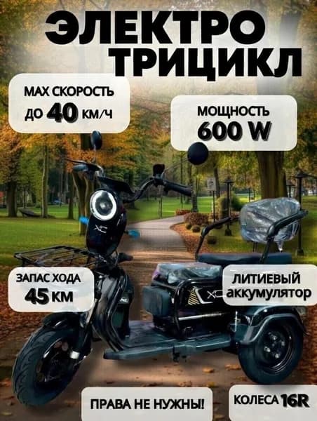 Электротрицикл-вездеход 600W, скорость до 45 км/ч, с багажником